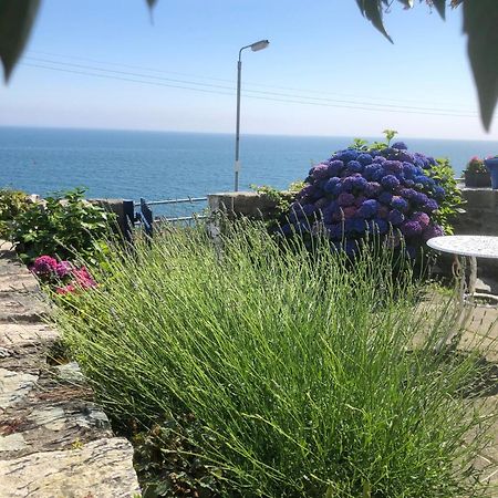 Slieve Donard Cottage Widows Row Cottages Newcastle  Eksteriør billede